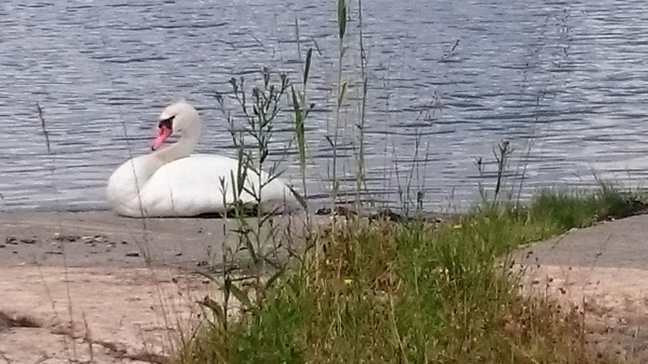 Salnö Gård Hotell Bylehamn Exteriör bild